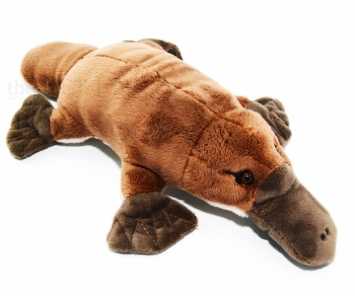 Kuschel Schnabeltier Platypus